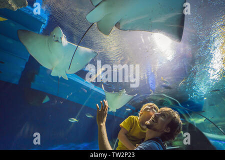 Father and son looking at fish in a tunnel aquarium Stock Photo