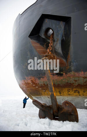 World's largest nuclear icebreaker, 50 Years of Victory, chartered by Quark Expeditions for trip to North Pole. Photographer Sue Flood next to bow. Stock Photo