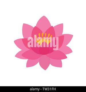 Pretty pink water lily or lotus flower Stock Vector