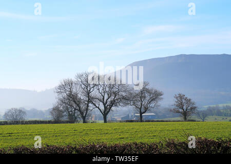 Early morning, early spring view towards the Cleveland Hills in the North York Moors National Park viewed from near to the village of Carlton Stock Photo