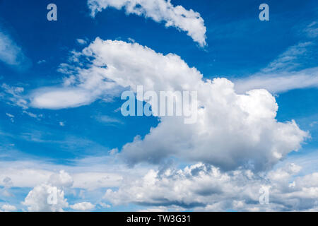 Unusual cloud formations against clear cobalt blue sky; central Colorado, USA Stock Photo