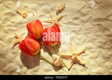 Beautiful red tulips and starfish on light sand as background Stock Photo