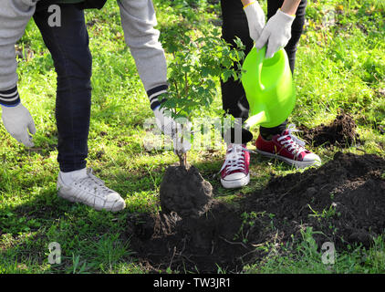 Young volunteers planting tree in park Stock Photo