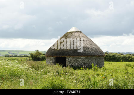 A thatched circular barn known as a Linhay on Braunton Marshes near Barnstaple, Devon UK Stock Photo