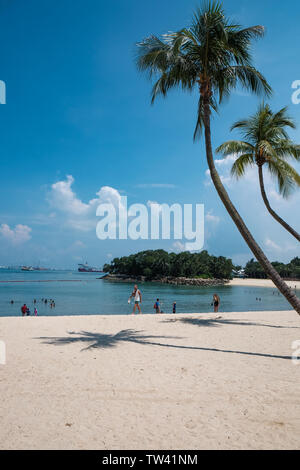 Upright framed with palm trees with copy space  of Siloso beach on Sentosa island Singapore a tropical paradise lined with palm trees and golden sand. Stock Photo