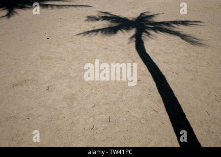 A hard outlined shadow of a palm tree falls on sandy beach with copy space. Stock Photo