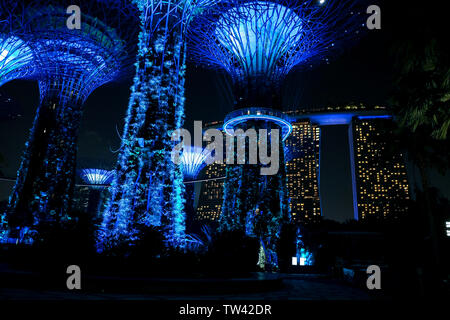 A low angle night shot of the Gardens by the bay bathed in blue light  in Singapore with the Marina Bay hotel in the background Stock Photo