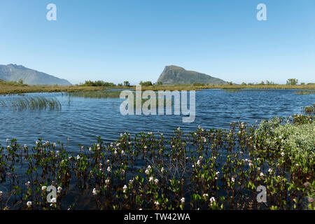 Tarn close to the road on the way to Hov Hestegård, Lofoten Islands, Norway. Stock Photo