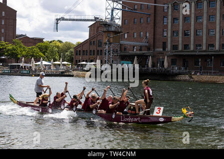 Dragon Boat regatta in Innenhafen harbour, Duisburg, Ruhr Area, Germany, Europe Stock Photo