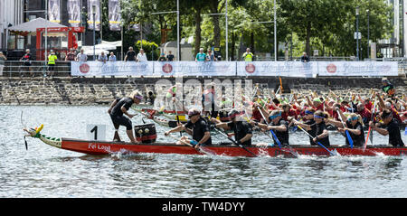 Dragon Boat regatta in Innenhafen harbour, Duisburg, Ruhr Area, Germany, Europe Stock Photo