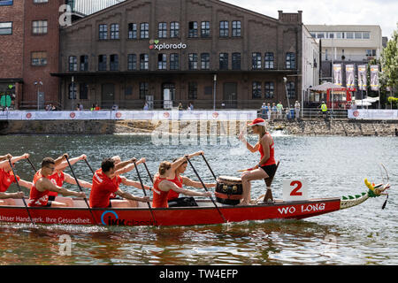 Dragon Boat regatta in Innenhafen harbour, Duisburg, Ruhr Area, Germany, Europe Stock Photo