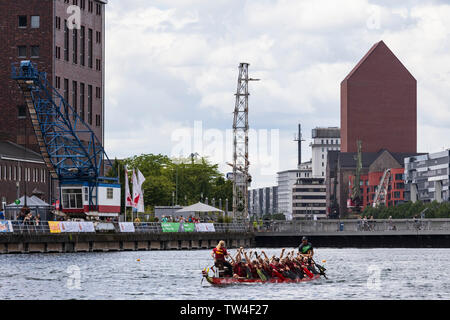 Dragon Boat regatta in Innenhafen harbour, Duisburg, Ruhr Area, Germany, Europe Stock Photo