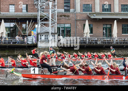 Dragon Boat regatta in Innenhafen harbour, Duisburg, Ruhr Area, Germany, Europe Stock Photo