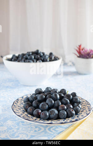Fresh picked blueberries in a light and bright kitchen environment. Stock Photo