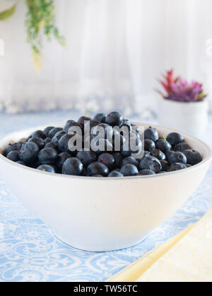 Fresh picked blueberries fill a white bowl in a light and bright kitchen environment. Stock Photo