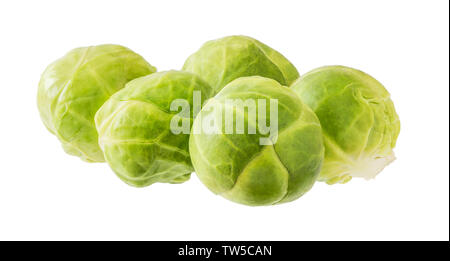 Brussels Sprouts Isolated on White Background Stock Photo