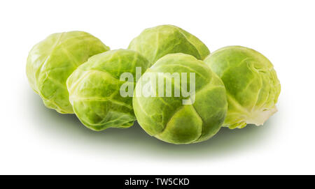 Brussels Sprouts Isolated on White Background Stock Photo