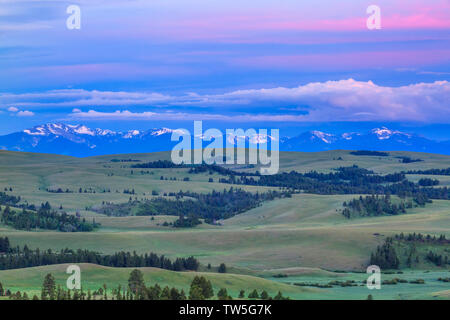 flint creek range at sunrise above meadows in upper spotted dog creek basin near avon, montana Stock Photo