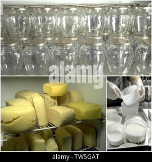 Cheese Making Rocess Collage Collage with cheese manufacturing process Stock Photo - Alamy