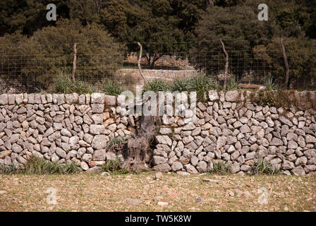 sry stone wall with fence in serra de tramuntana, mallorca, spain Stock Photo