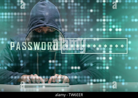 Young hacker in cybersecurty concept Stock Photo