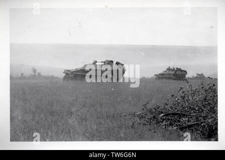German Soldiers in Armoured Personnel Carriers Sdkfz 251/16 Flamethrower Version on the Russian Front 1943 Stock Photo