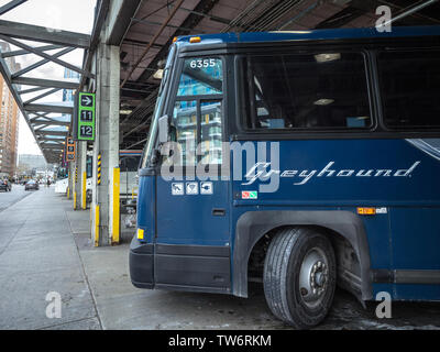 TORONTO, CANADA - NOVEMBER 14, 2018: Greyhound logo on a  motorcoach bus parked on Toronto coach station. Greyhound Canada is one of the main intercit Stock Photo