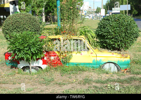 سيارة مصنوعة من النباتات الحية