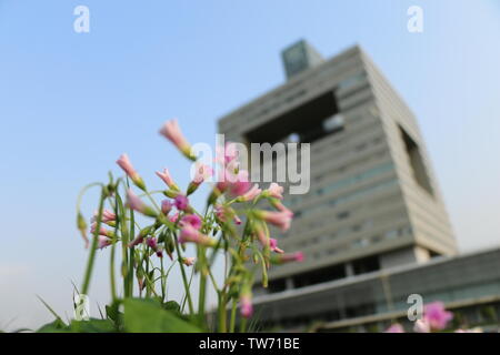 Science and Technology Building, Shenzhen University Stock Photo