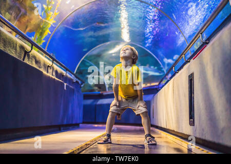 aquarium and boy, visit in oceanarium, underwater tunnel and kid, wildlife underwater indoor, nature aquatic, fish, tortoise Stock Photo