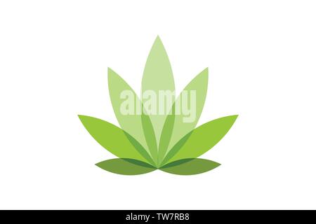 cannabis leaf logo Designs Inspiration Isolated on White Background Stock Vector