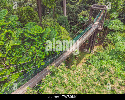 areial view of capilano suspension bridge kuala lumpur forest eco-park Stock Photo