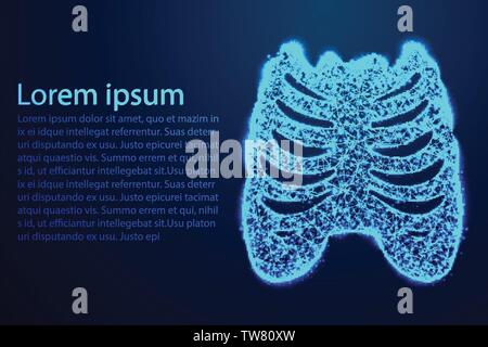 rib cage, Lateral bone, Human Anatomy. Abstract low poly, Triangle, dot, line, polygon. Shine blue background, Vector illustration Stock Vector