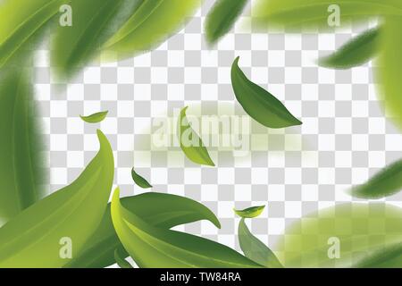 Vector 3d illustration with green tea leaves in motion on a transparent background. Element for design, advertising, packaging of tea products, Vector Stock Vector