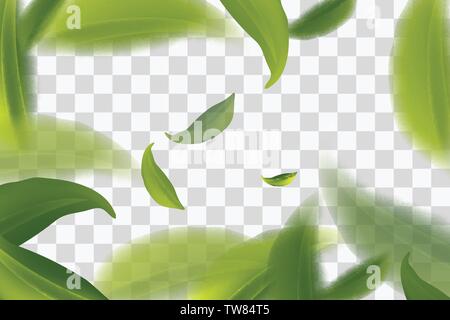 vividly flying green tea leaves, transparent background Vector illustration Stock Vector