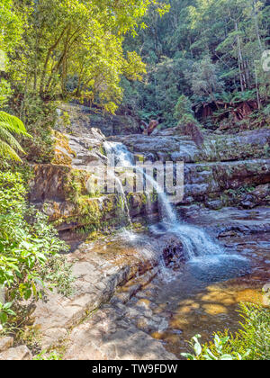Victoria Falls, aka the Liffey Falls, is the major waterfall of a series of four on the Liffey River, in the Midlands region of Tasmania, Australia. Stock Photo