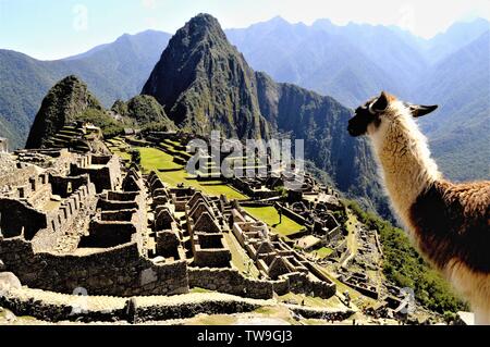 Coperta in misto alpaca - Machupichu