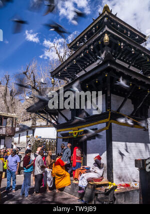 Muktinath Temple, sacred to both Hindu and Buddhists, Nepal Stock Photo