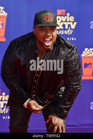 SANTA MONICA, CA - JUNE 15: Rip Micheals attends the 2019 MTV Movie and TV Awards at Barker Hangar on June 15, 2019 in Santa Monica, California. Stock Photo