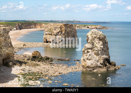 View north past sea stacks in Marsden Bay, including Marsden Rock, north east England, UK Stock Photo