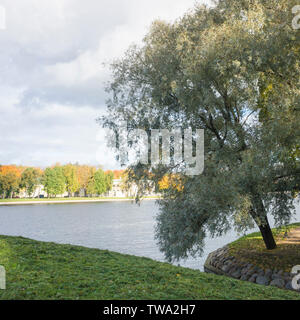 Natural scene. sky, tree, smal lake in the park in the city. Time to rest.. Stock Photo