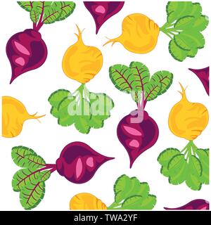 Vegetables turnip and sugar beet on white background is insulated Stock Vector