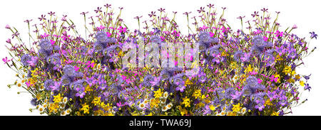 Bouquets of flowers in row isolated on white Stock Photo