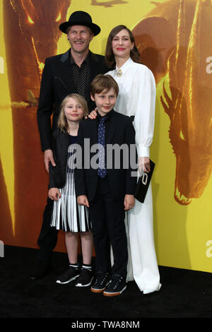 'Godzilla: King Of The Monsters' Premiere at the TCL Chinese Theater IMAX on May 18, 2019 in Los Angeles, CA Featuring: Renn Hawkey, Gytta Lubov Hawkey, Fynn Hawkey, Vera Farmiga Where: Los Angeles, California, United States When: 19 May 2019 Credit: Nicky Nelson/WENN.com Stock Photo