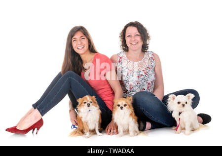 little chihuahuas and women in front of white background Stock Photo