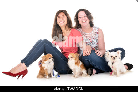 little chihuahuas and women in front of white background Stock Photo