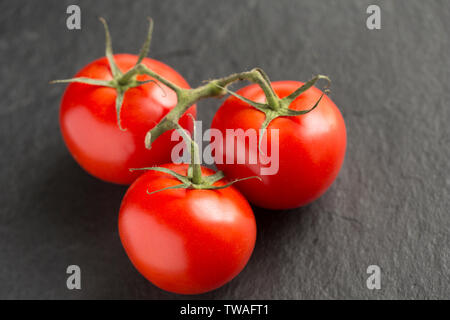 Three ripe tomatoes on the vine imported from The Netherlands and bought from a supermarket in the UK. Photographed on a dark slate background. Dorset Stock Photo