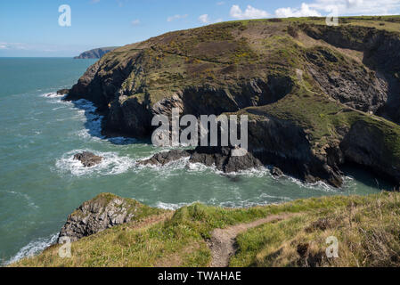 Rugged coastline at Ceibwr Bay near Cardigan in the Pembrokeshire coast national park. Area around the Witches Cauldron, a collapsed cave. Stock Photo