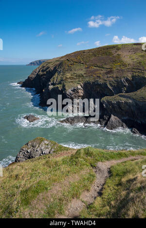 Rugged coastline at Ceibwr Bay near Cardigan in the Pembrokeshire coast national park. Area around the Witches Cauldron, a collapsed cave. Stock Photo