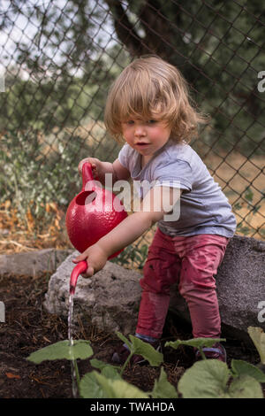 Little gardener, cute girl, helping out in garden, splashing water, watering plants with red watering can Stock Photo